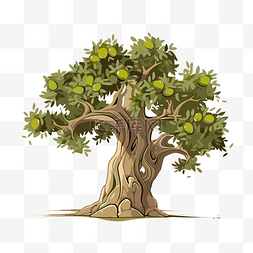 橄榄树 向量
