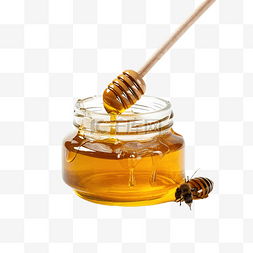 罐子里的蜜蜂