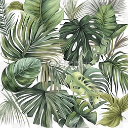 热带森林树叶图片_热带树叶水彩画