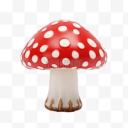 蘑菇红斑点