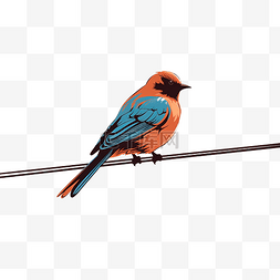 电线上的鸟 PNG 插图