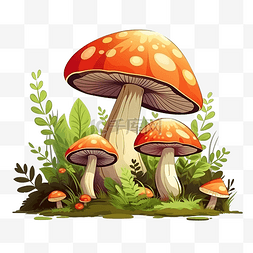 有毒的蘑菇图片_卡通蘑菇森林野生蘑菇