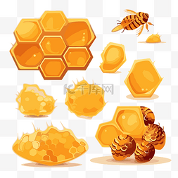 不同种类的蜜蜂卡通的蜂窝剪贴画