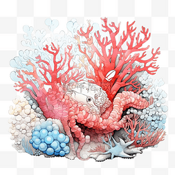 大海水图片_热带海洋珊瑚礁上有海葵的 Diogenes