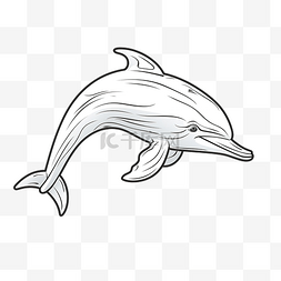 自然之美艺术字图片_海豚单线线条艺术单线动物