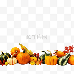 秋收万圣节或感恩节概念，配有橙