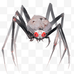 红眼睛的蜘蛛万圣节派对画