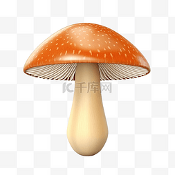 蘑菇桌子图片_3d 插图感恩节蘑菇