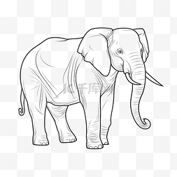 大象单线艺术线条动物