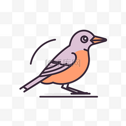 灰色和橙色的鸟站在白色背景上 