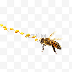飞行的路径图片_蜜蜂飞行路径 蜜蜂以虚线飞行 蜜