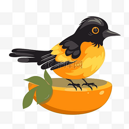 鸟剪贴画图片_黄莺剪贴画黑色鸟坐在橙色卡通上