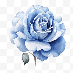 水彩蓝玫瑰
