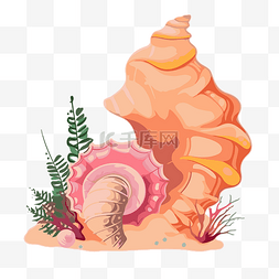 海螺剪贴画贝壳和海洋植物在白色