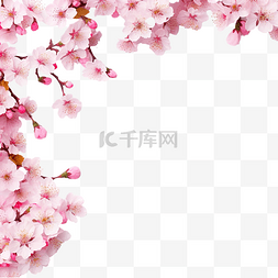 樱花樱花边框