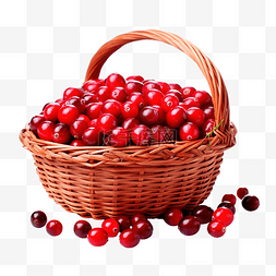纯净装水图片_篮子里装着多汁的红蔓越莓