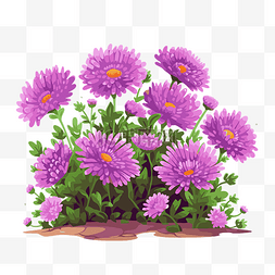 卡通紫色花朵图片_翠菊剪贴画紫色花朵设计卡通 向