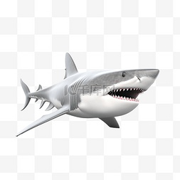 3d海洋动物图片_鲨鱼 3d 模型插图