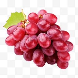 葡萄紫红色图片_白色背景中分离的一串成熟多汁的