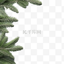 灰色混凝土表面上的绿色圣诞树枝