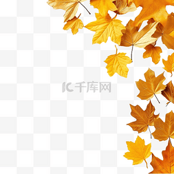 秋季背景，四侧金叶，带复制空间