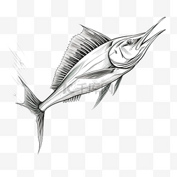 抽象动物素描图片_旗鱼鱼跳跃素描