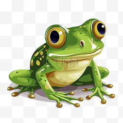 青蛙剪贴画 绿色青蛙，大眼睛，