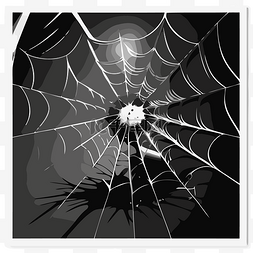 黑蜘蛛网 向量