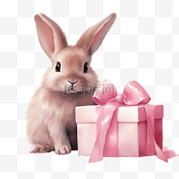 兔年元宵祝福图片_粉红兔子和礼物