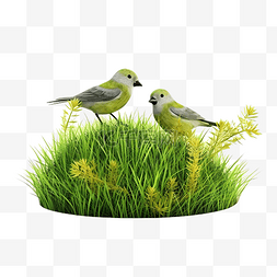 田園图片_绿草田上天堂鸟的 3D 渲染图像