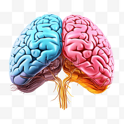 有精神图片_人脑有两种颜色