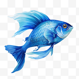 蓝色水鱼图片_水里的鱼 蓝色的海洋 PNG
