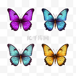 优雅异国情调的蝴蝶多彩翅膀装饰