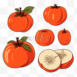 秋天与柿子图片_柿子果实的插图与水果轮廓插图涂