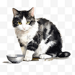 胖乎乎的黑白条纹猫在水彩画中吃牛奶