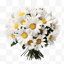 白色雏菊花束