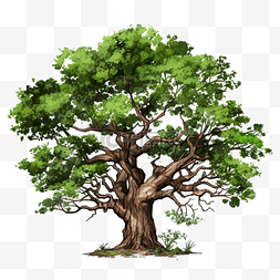 分支大树图片_大树和树枝png文件