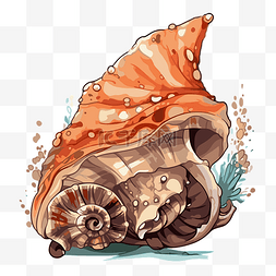 海螺剪贴画 海螺壳 海贝壳 卡通 