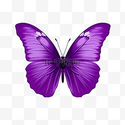 粉色植物水彩图片_紫色蝴蝶可爱