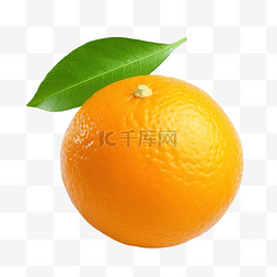 孤立的橙色水果 库存照片