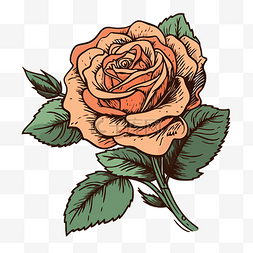 复古玫瑰剪贴画玫瑰手绘插画风格