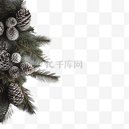 灰色的树图片_圣诞树枝，木板上有锥体，靠在灰