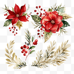 圣诞节和新年花卉水彩元素