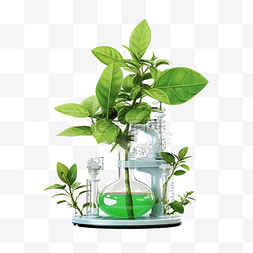 花的暖水壶图片_植物生物技术