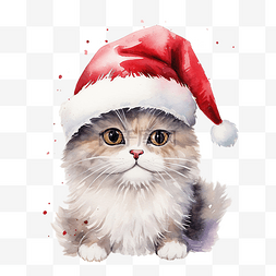 带帽子的动物图片_带着圣诞老人帽子的可爱快乐猫的
