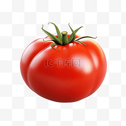 番茄隔离 3d 渲染