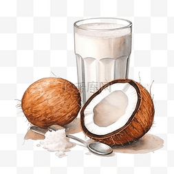 白色牛奶花图片_水彩椰子咖啡