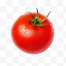 蔬菜 红番茄