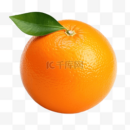 孤立的橙色水果 库存照片