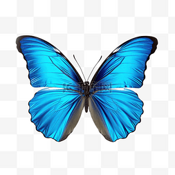 藍色漸變蝴蝶
